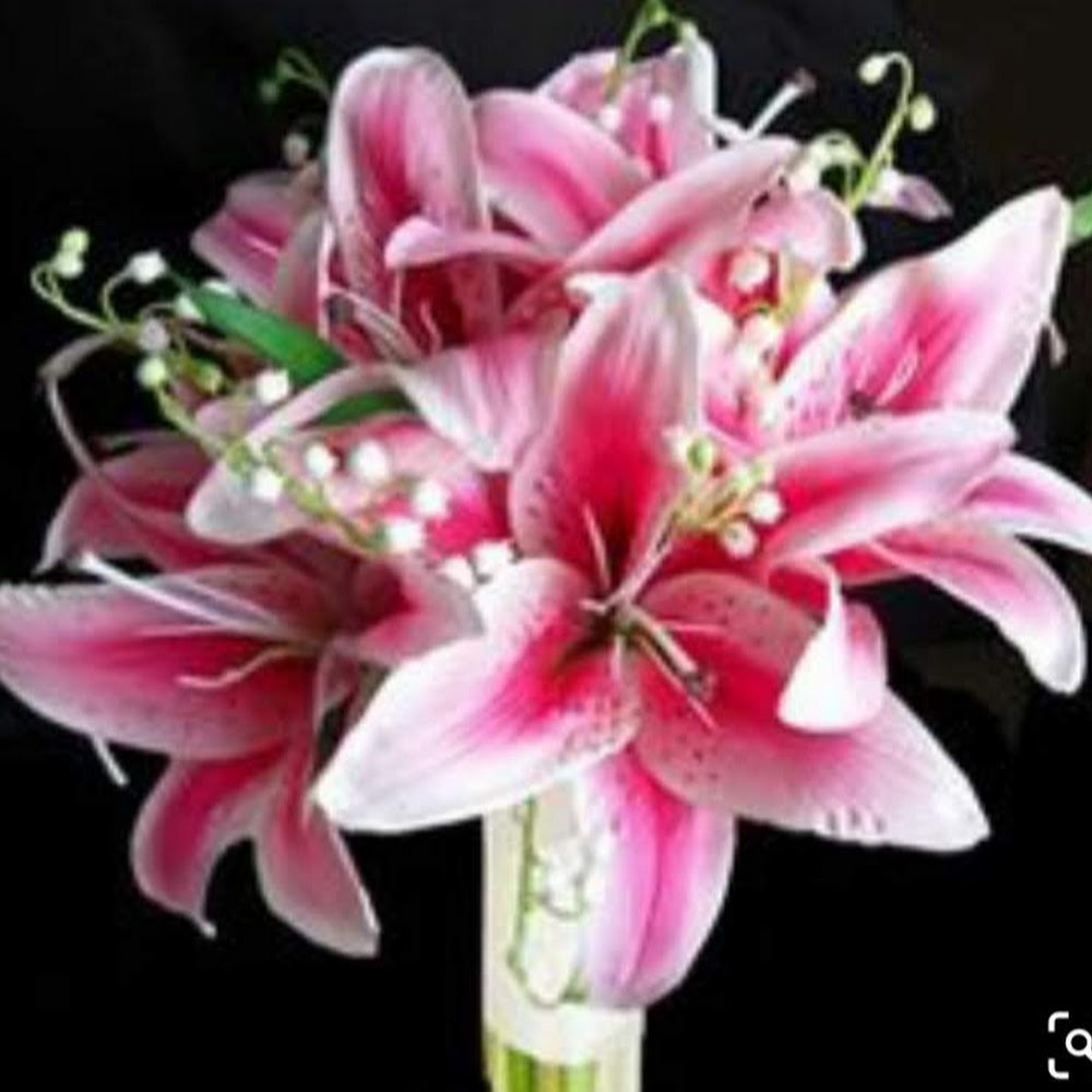 Meet your Posher, Jo